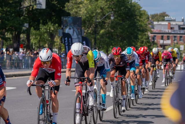 Hilvermendria imagem 1