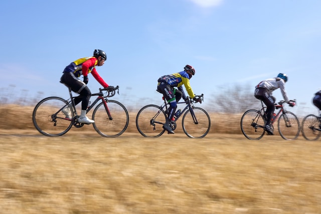 Hilvermendria imagem 7